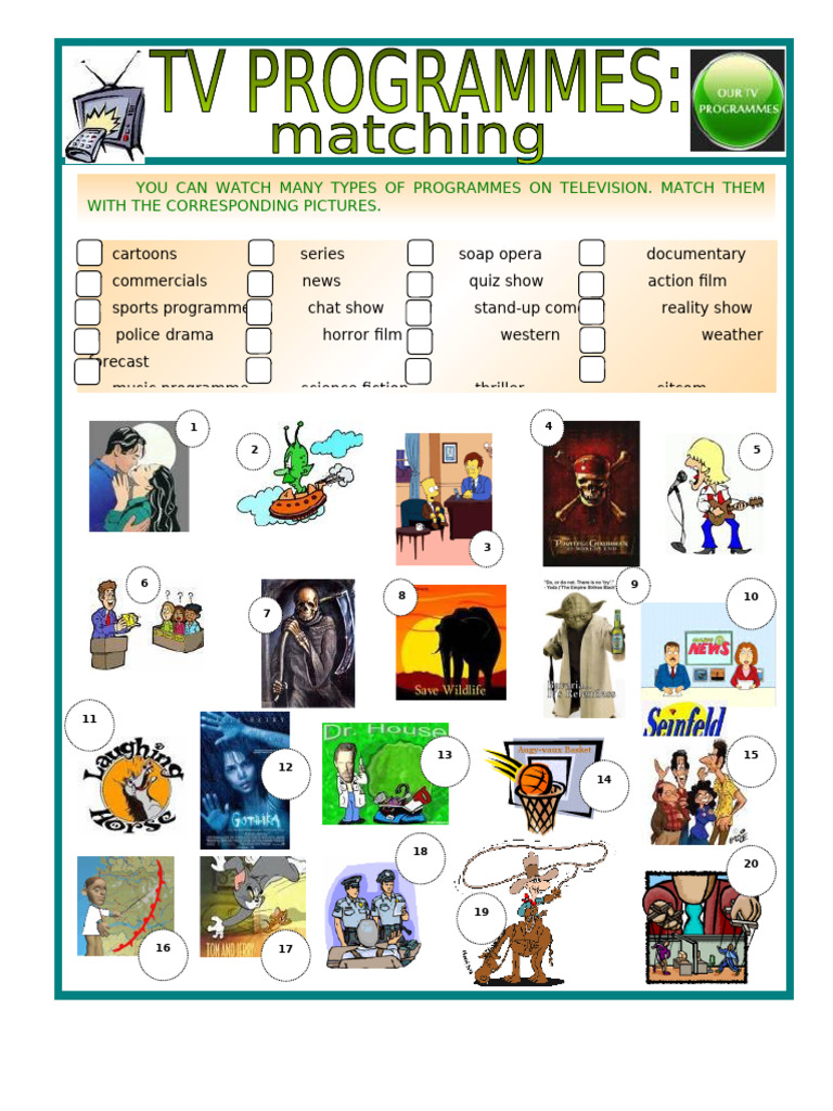 TV Program Types and Matching Activity | PDF