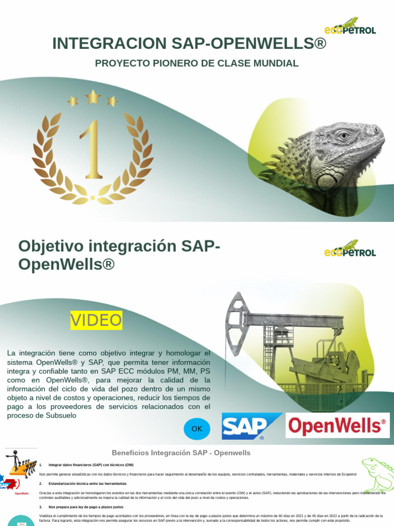 06.25.2021 Entregable Integración SAP-Openwells v.3 (Mod 1,2,3) - DEF ...