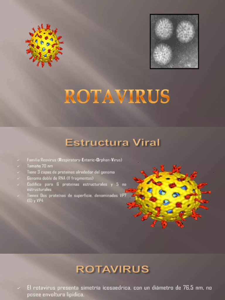 Vacunas y Tratamiento del Rotavirus | PDF