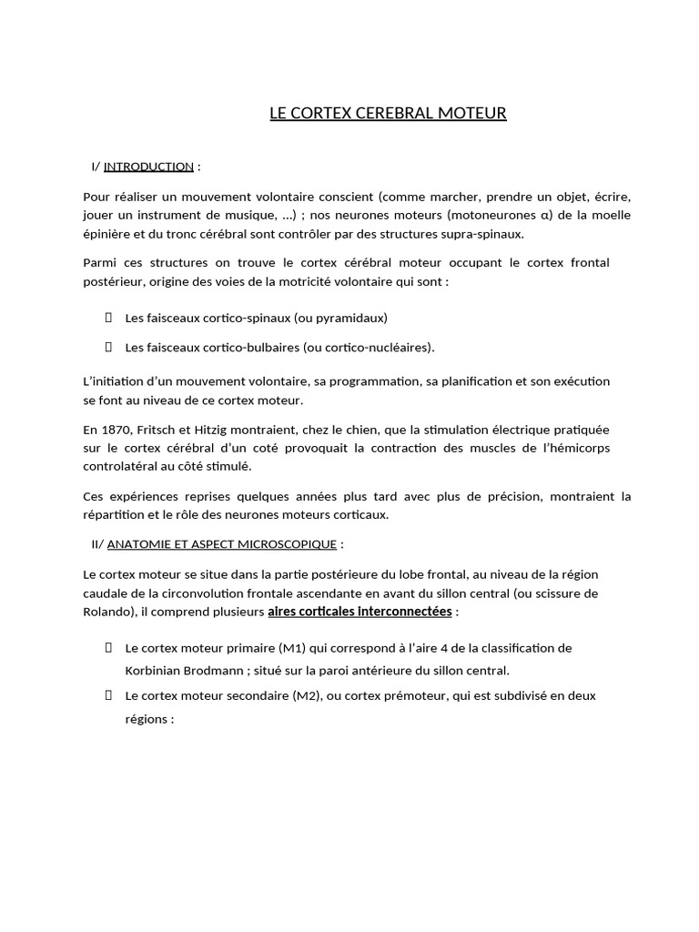 Anatomie et Fonction du Cortex Moteur | PDF | Cortex cérébral | Cervelet