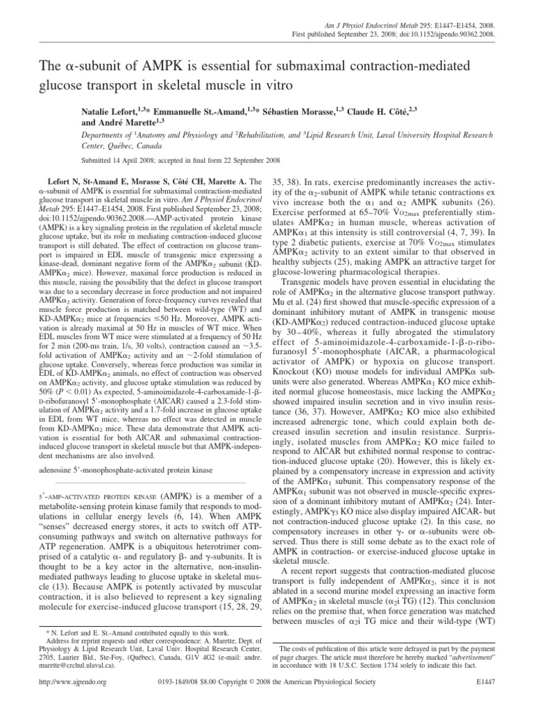Lefort Et Al 2008 the α Subunit of Ampk is Essential for Submaximal ...
