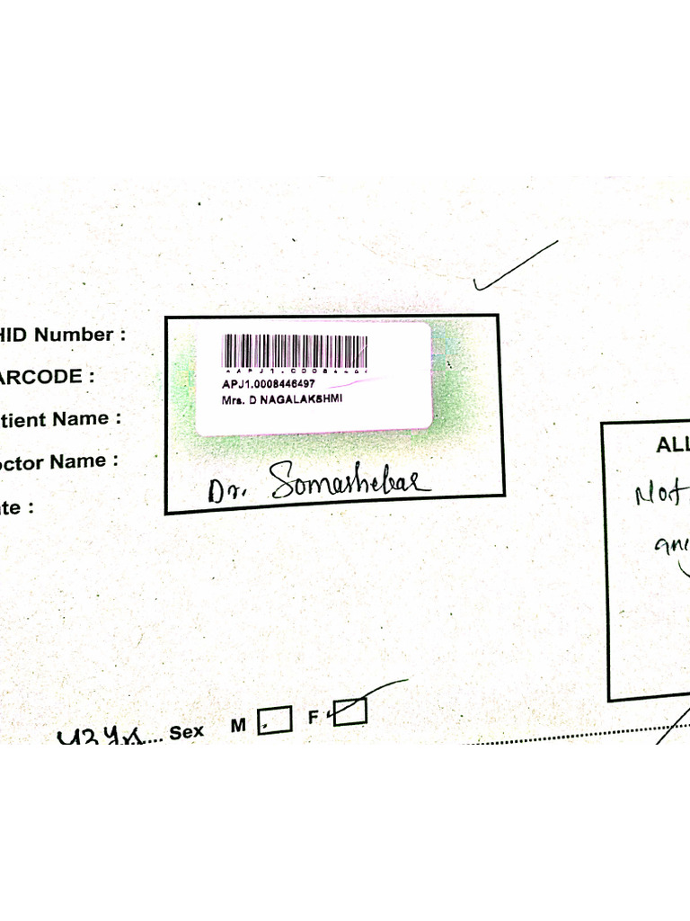 DocScanner Jun 17, 2025 3-08 PM | PDF