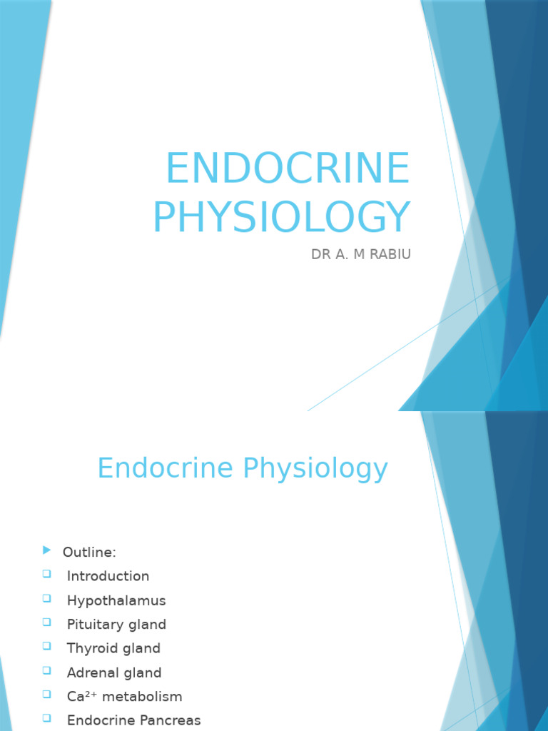 ENDOCRINE PHYSIOLOGY Notes | PDF | Adrenal Gland | Endocrine System