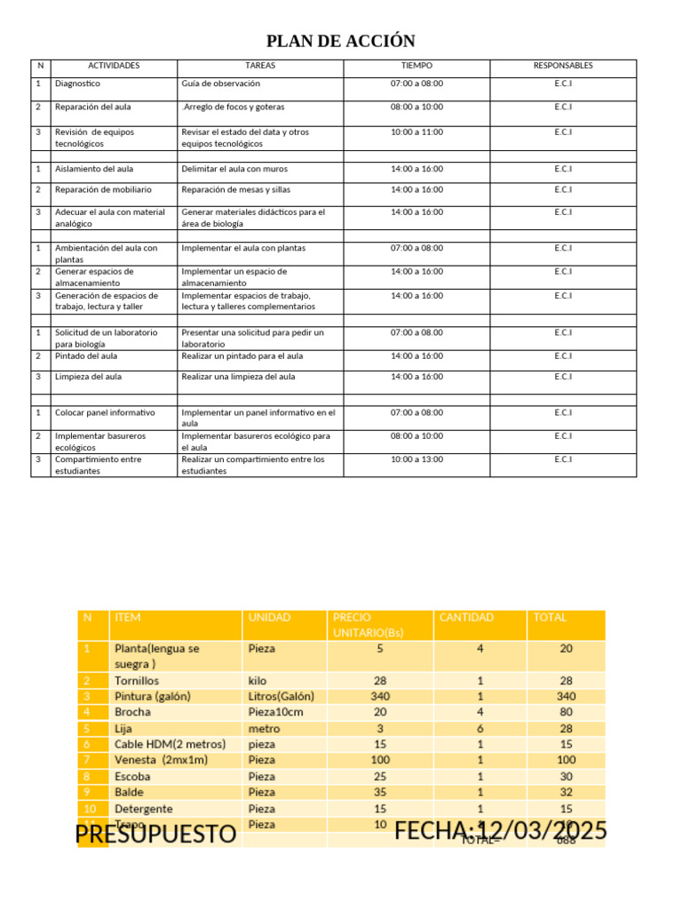 Analisis Del Plan de Accion y Presupuesto | PDF