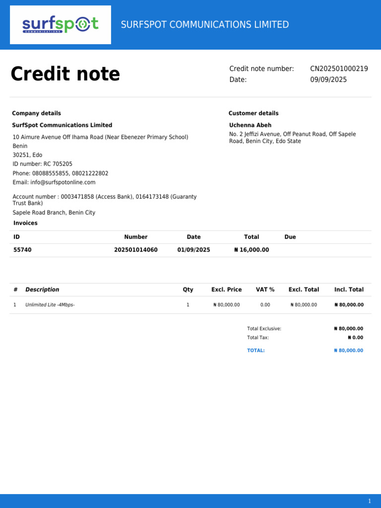 Credit Note CN202501000219 | PDF