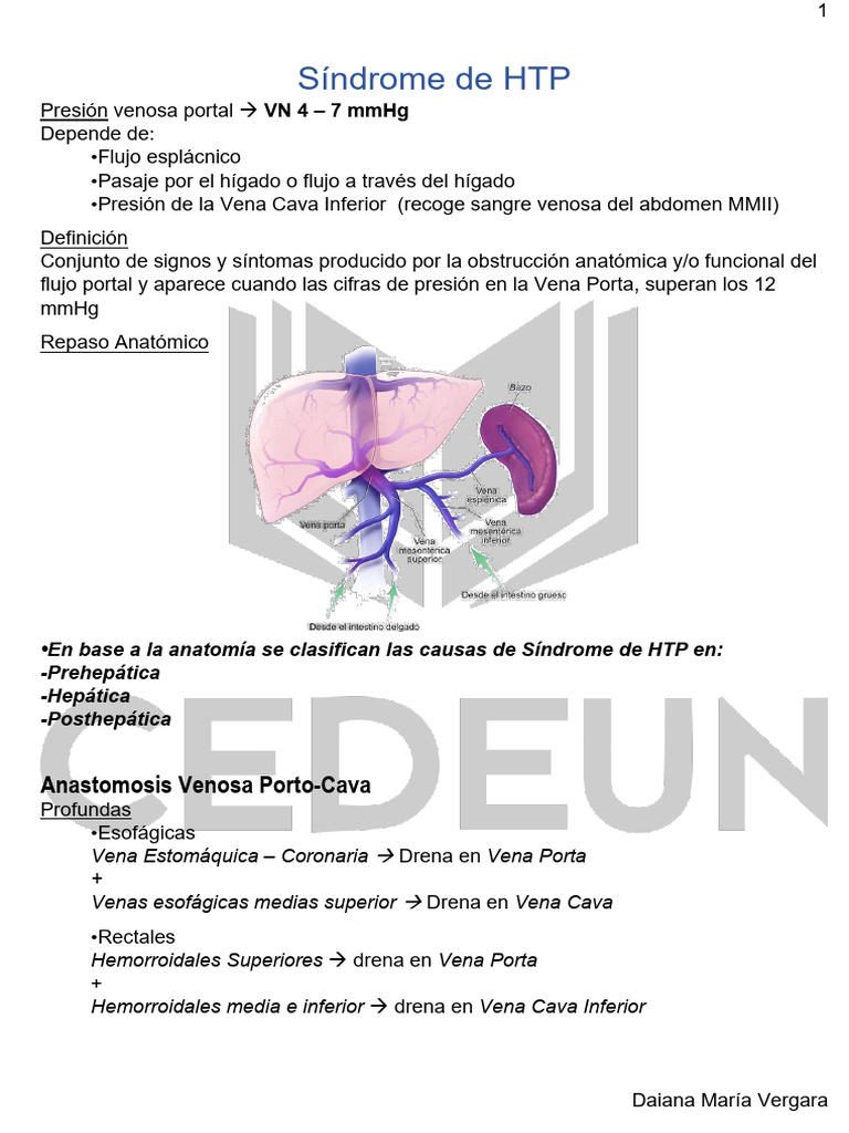 Síndrome de HTP | PDF | Vena | Cirrosis