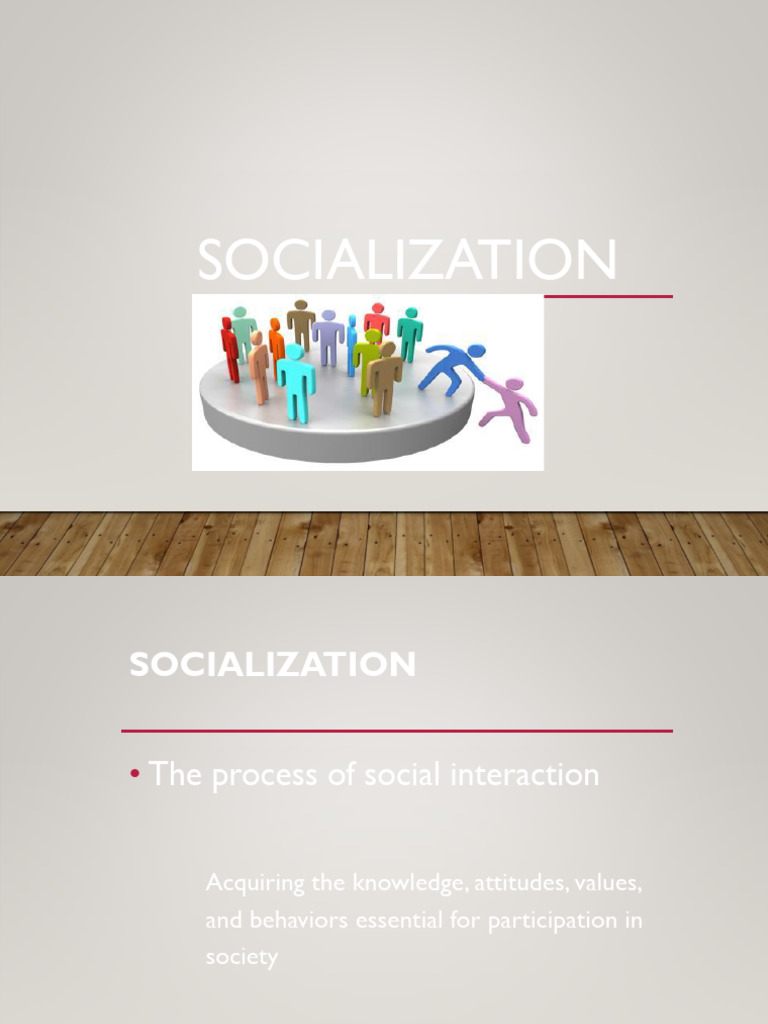 Understanding Socialization Processes | PDF | Socialization | Cognitive ...
