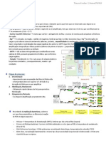 PCR Manipulação