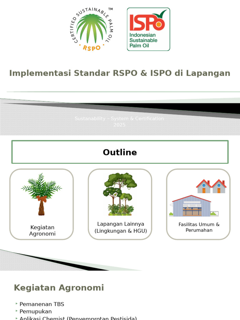 Implementasi Standar RSPO & ISPO Di Lapangan | PDF