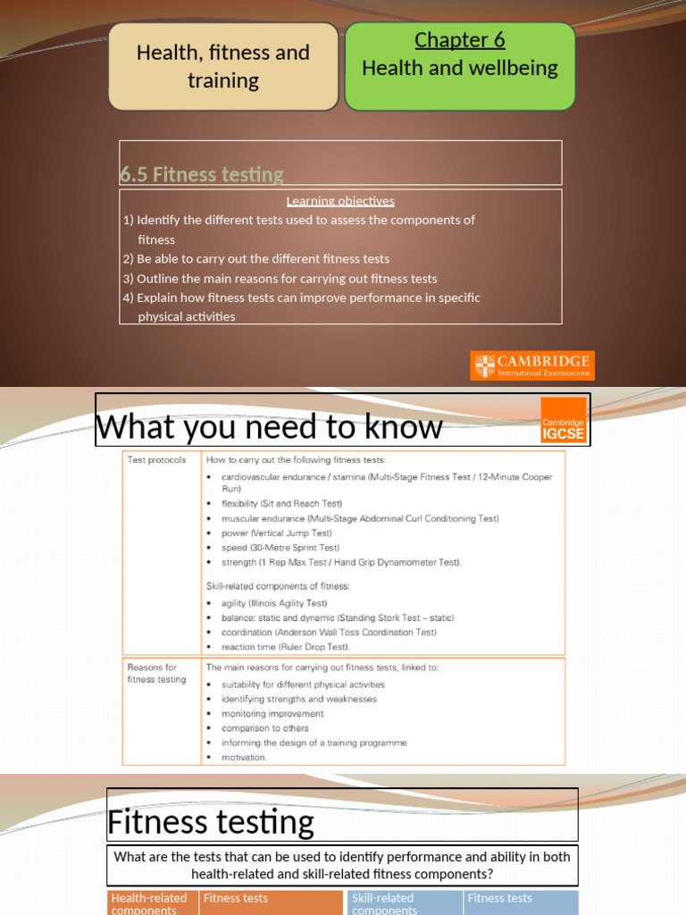 6.5 Fitness Testing | PDF | Physical Fitness | Endurance