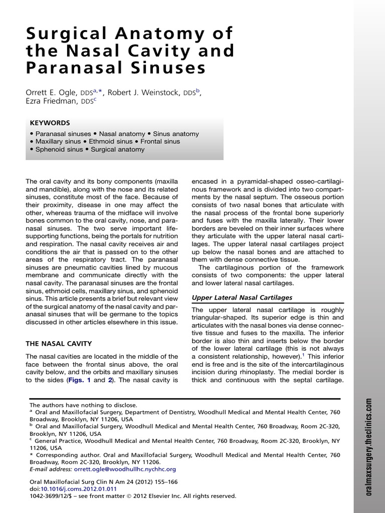 Surgical Anatomy of Nasal Cavity & Sinuses | PDF | Human Nose | Human ...