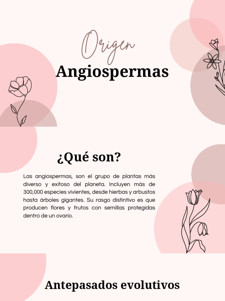 Origen y evolución de las angiospermas | PDF | Flores | Evolución