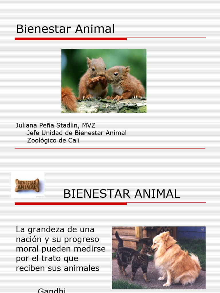 Bienestar Animal 1226270410752159 8 | PDF | Bienestar de los animales ...