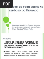 Efeito do fogo sobre as espécies do Cerrado