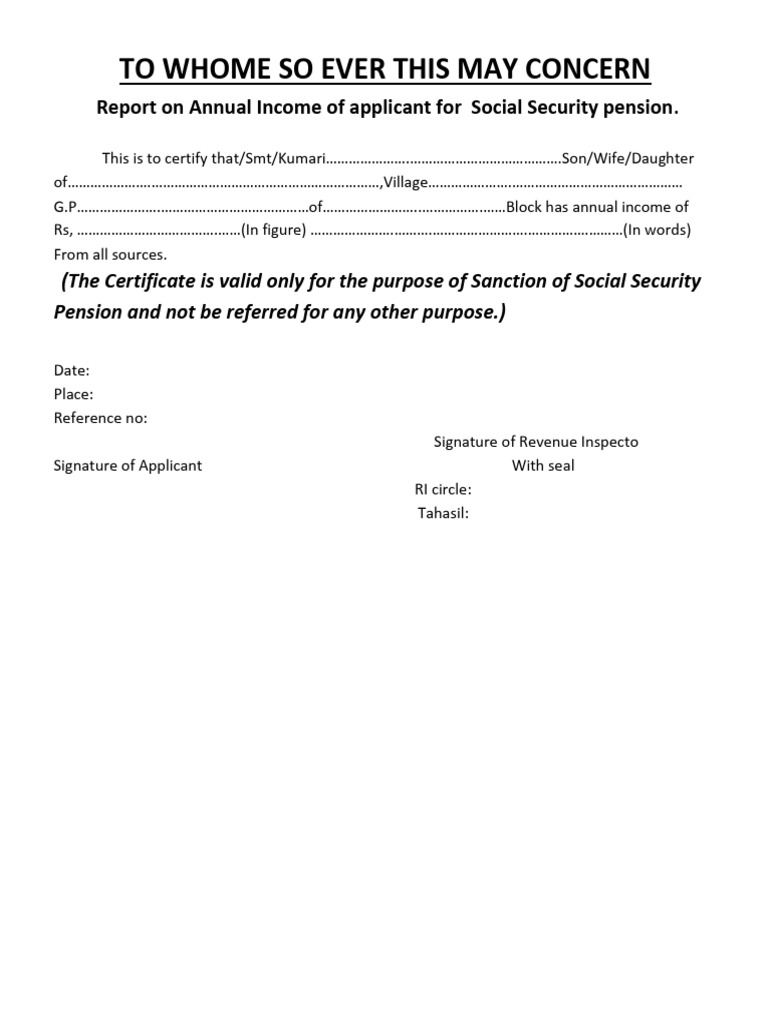 Income Report For Pension | PDF