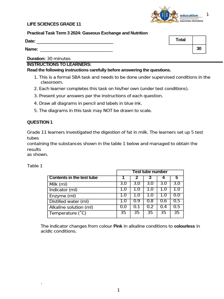Term 3 Gr.11 Practical Task 2024 Final | PDF