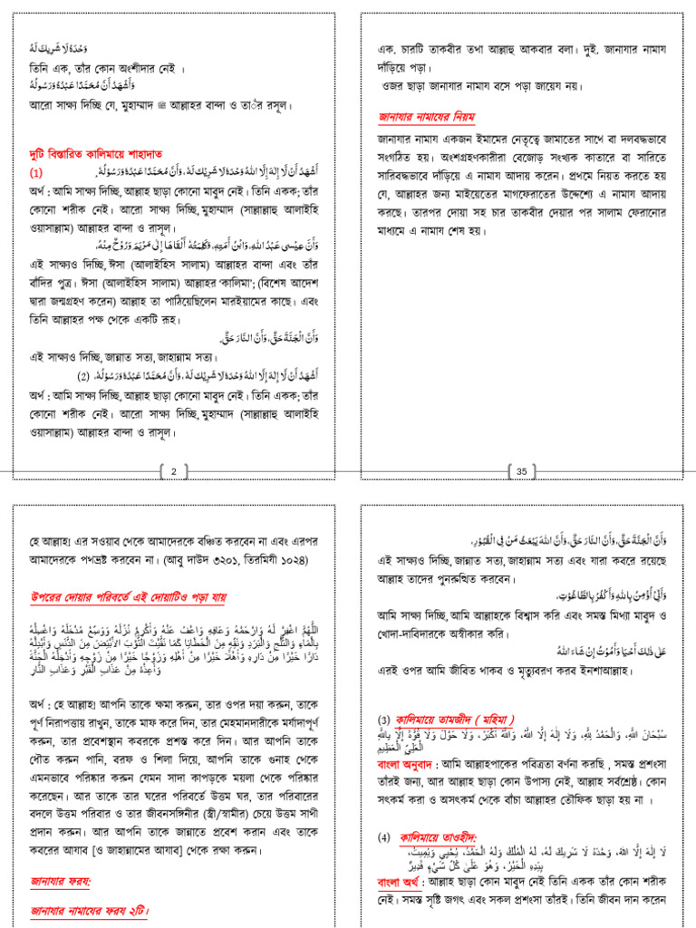 NN | PDF