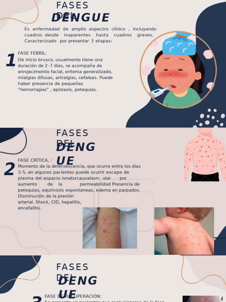 Dengue FA Listo | PDF | Fiebre amarilla | Especialidades Medicas