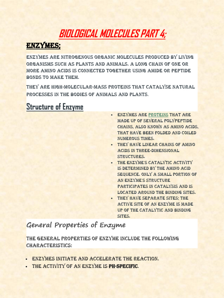 Understanding Enzymes: Functions & Types | PDF | Enzyme Inhibitor | Enzyme