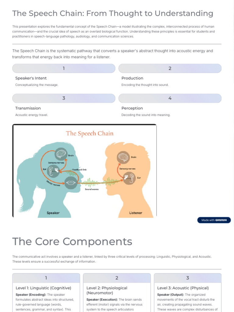 Understanding the Speech Chain Model | PDF | Speech | Larynx