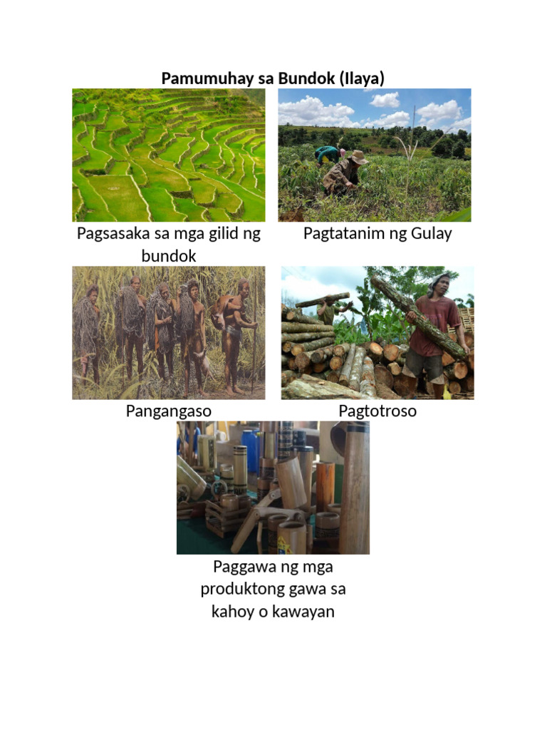 Pamumuhay Sa Bundok | PDF