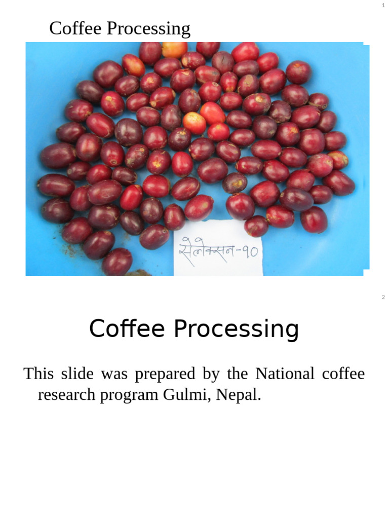 Coffee Processing Methods Overview | PDF | Coffee | Drink