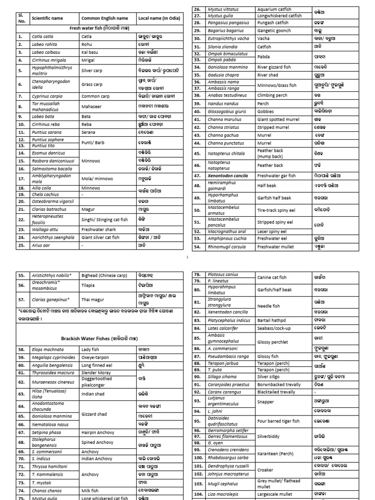 Fish Local Names and Common Names Odisha | PDF