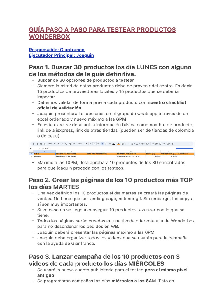 Guía para Testear Productos Wonderbox | PDF | Comercio electrónico