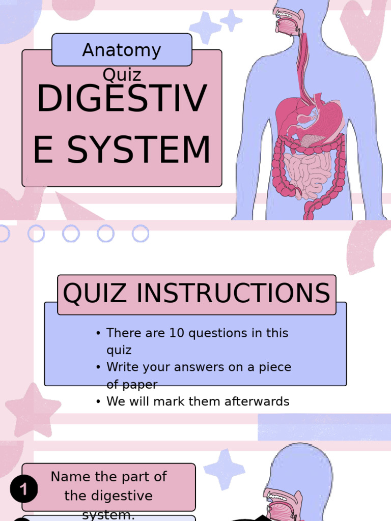 Digestive System Biology Quiz Presentation in A Blue Pink Bold Style ...