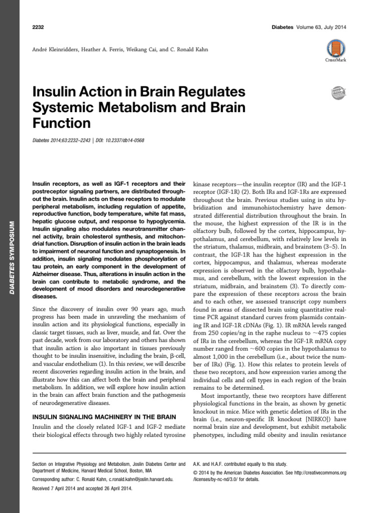 Diabetes-2014-Kleinridders Insulin Action in The Brain | PDF | Synaptic ...
