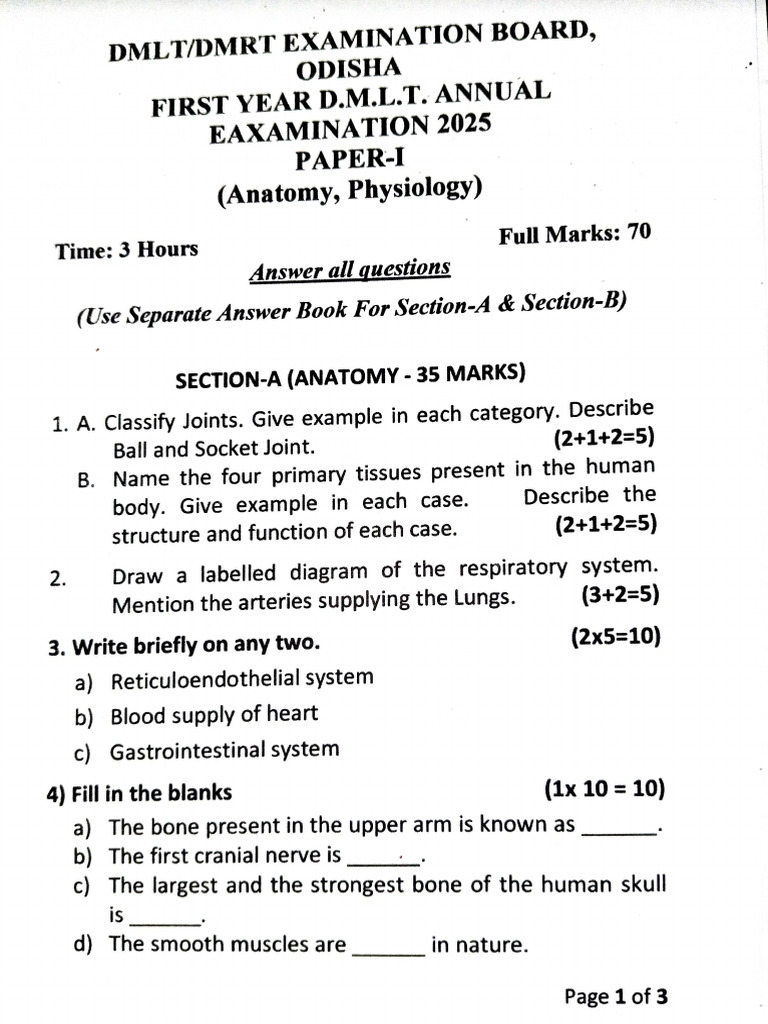 First Year Anual Examination 2025 All Paper | PDF