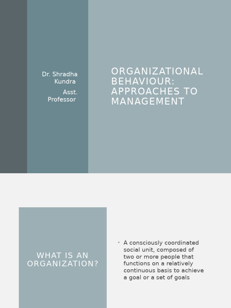 Management Approaches in Organizations | PDF | System | Business