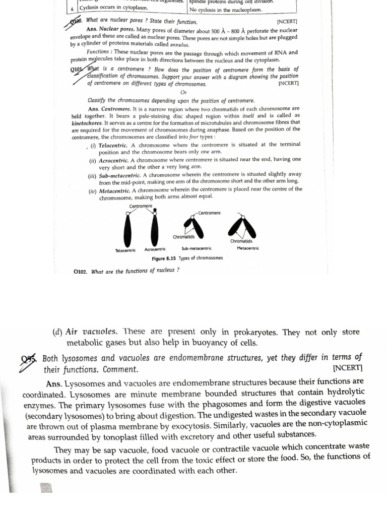 Document 94 | PDF