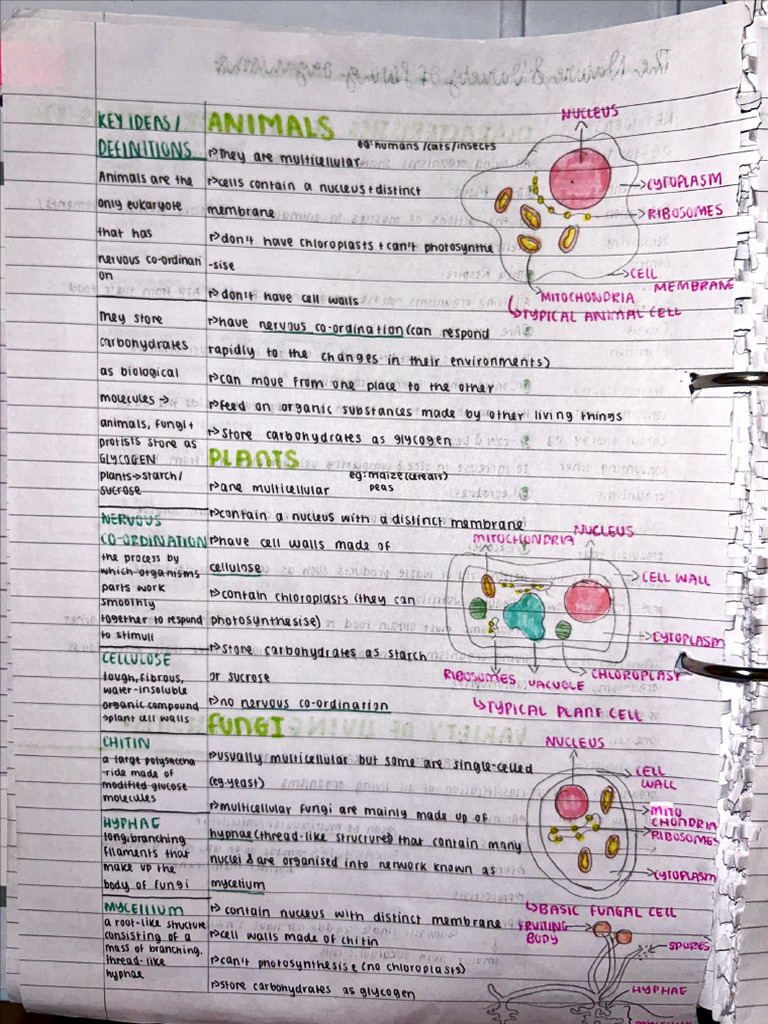 Biology Notes Nov (Dragged) | PDF