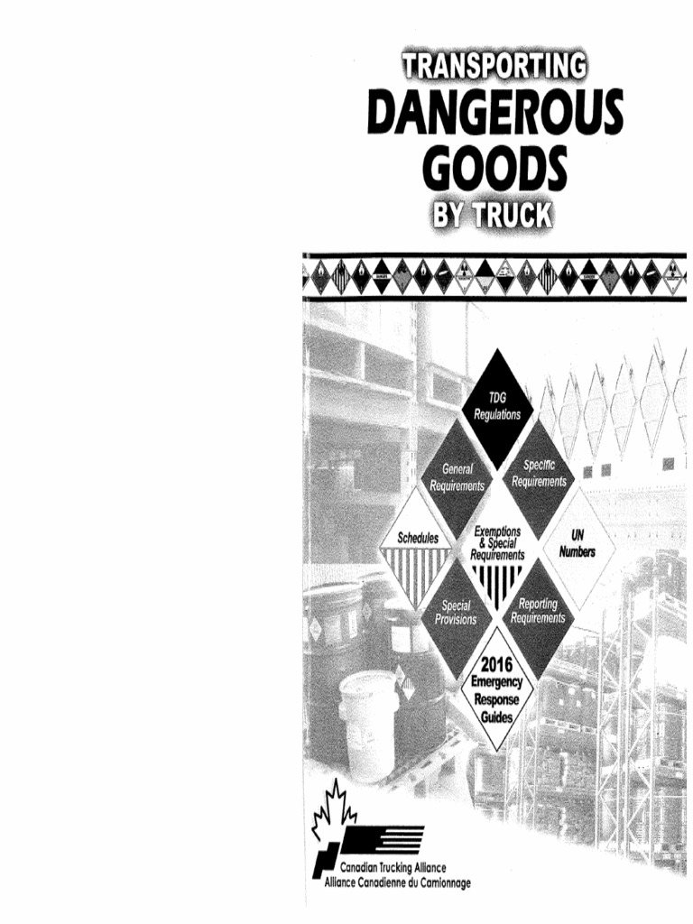 Tdgbook 2 | PDF