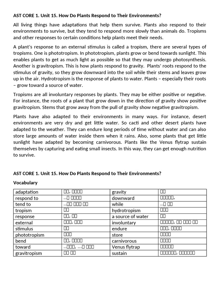Ast Core 1 15 | PDF