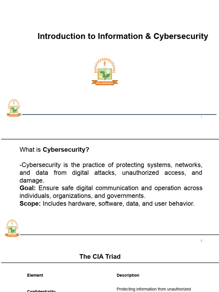 Cybersecurity Basics: Protecting Data | PDF