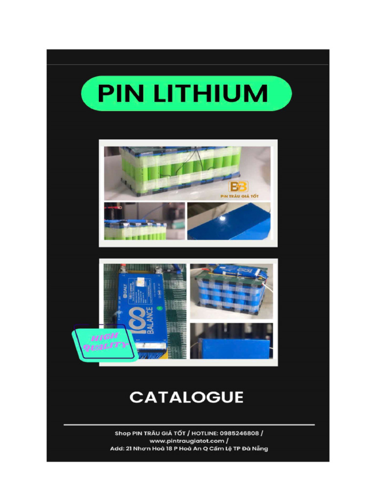 B PIN Catalog | PDF