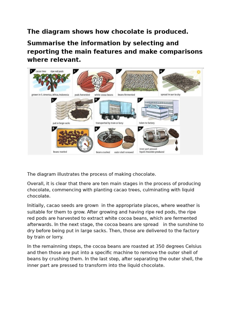 Chocolate Production Process Explained | PDF