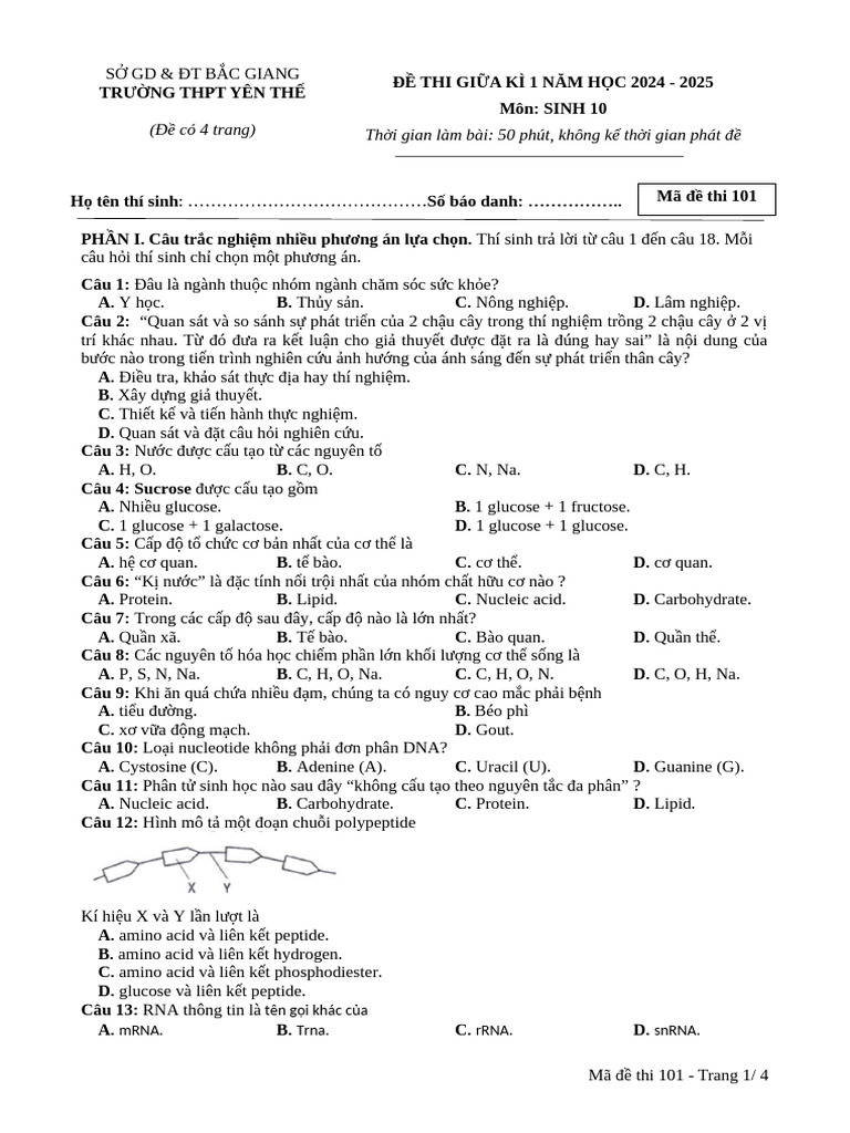 Made 101 | PDF