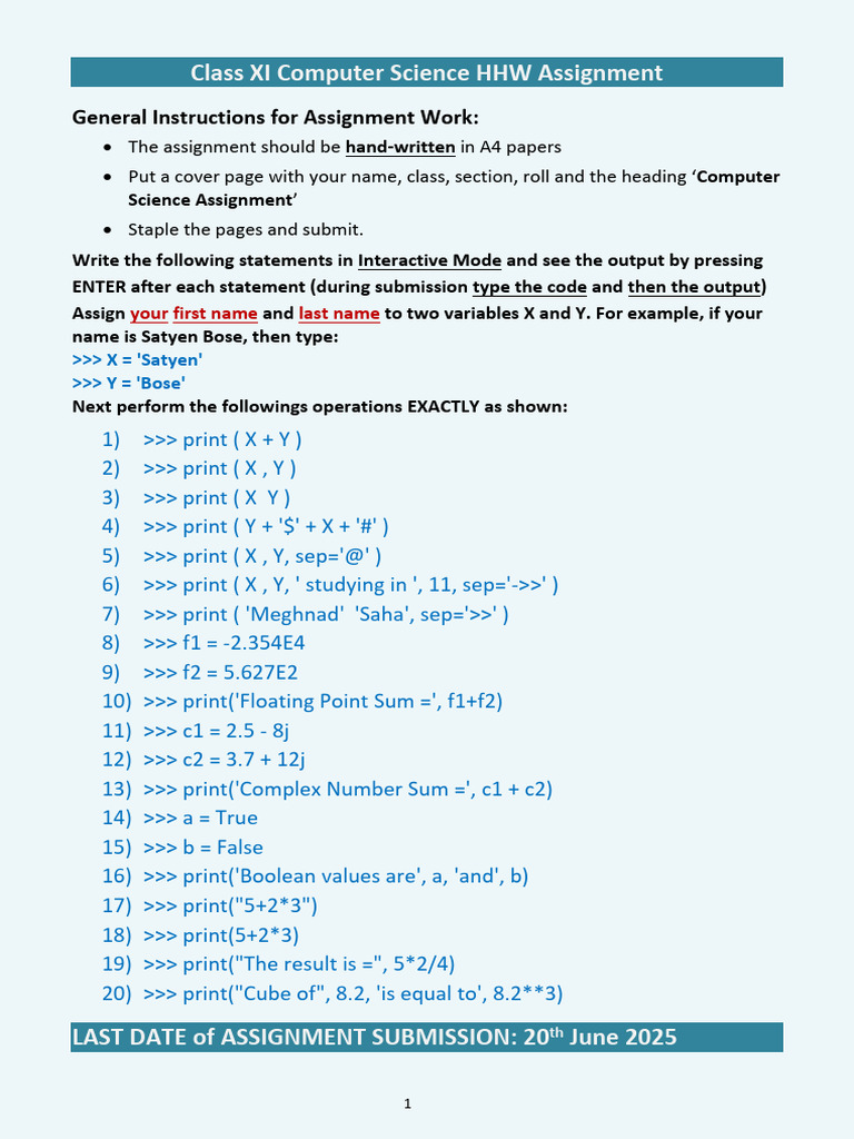 11 Comp Sc HHW Assignment, 2025 | PDF