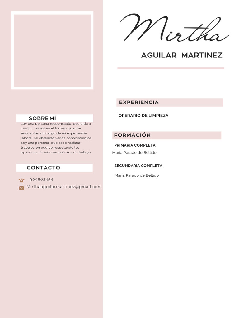 Currículum Vitae CV Diseñadora y Arquitecta Minimalista Rosa | PDF