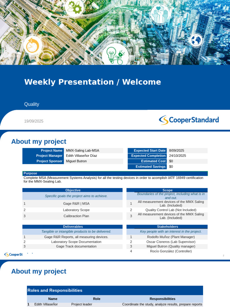 MSA Project Overview for MMX Lab | PDF | Calibration