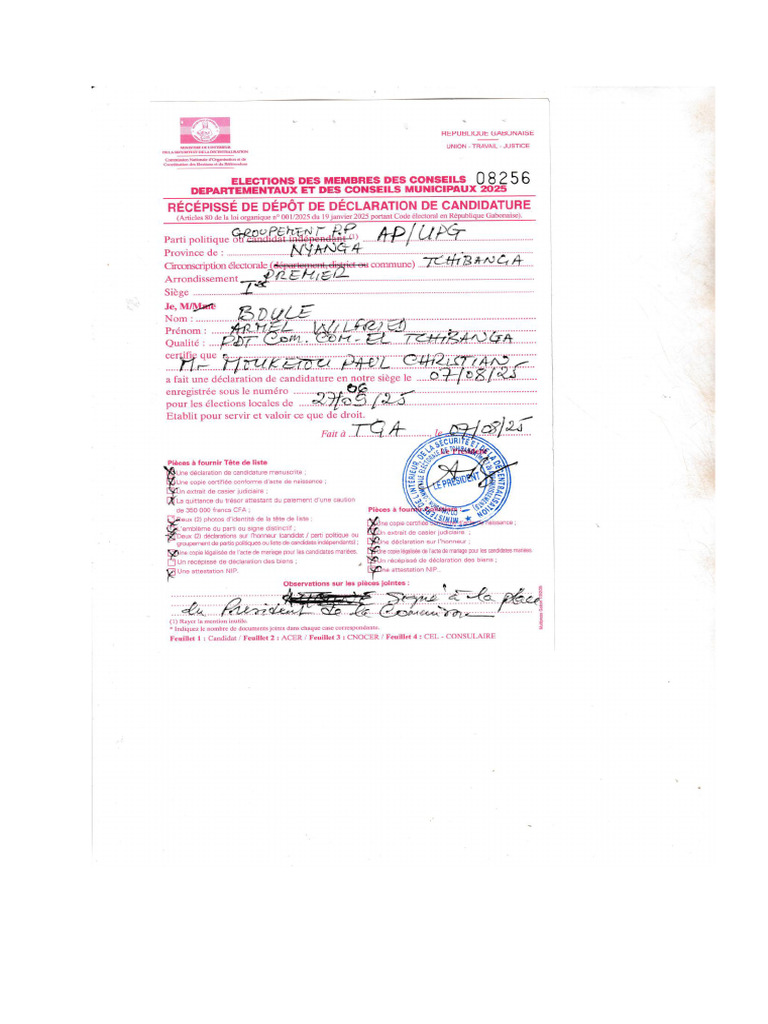 APdoc 1 | PDF