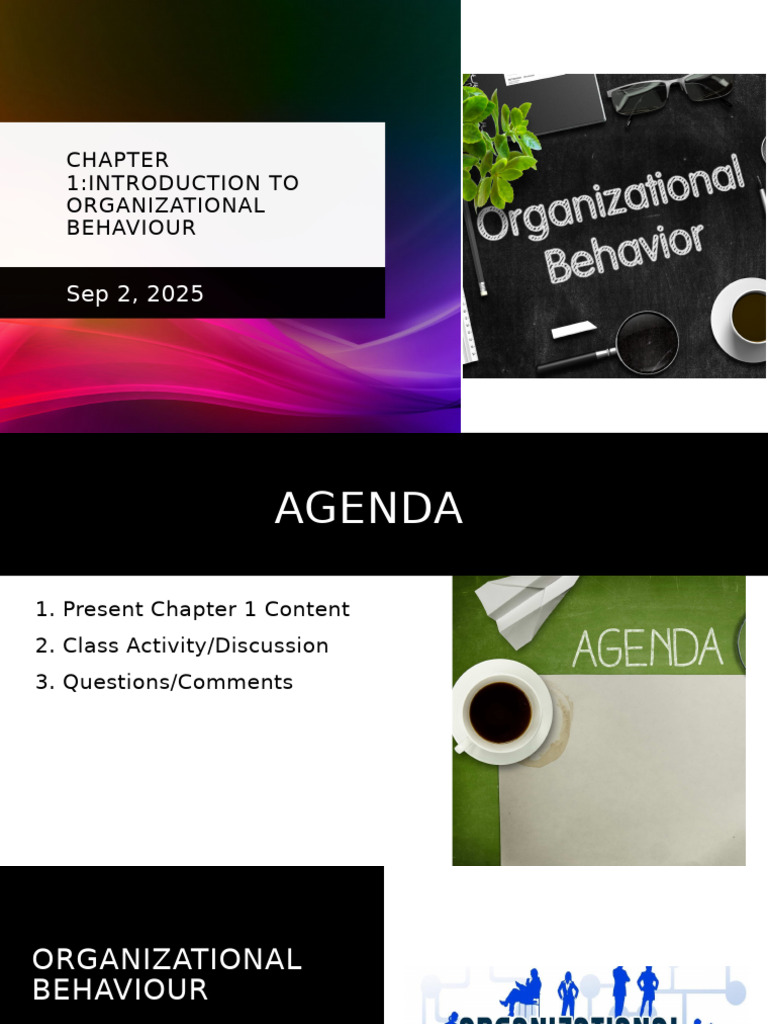 Introduction to Organizational Behaviour | PDF | Organizational ...
