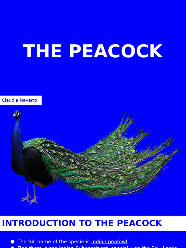 Peacocks (Claudia Navarro) | PDF