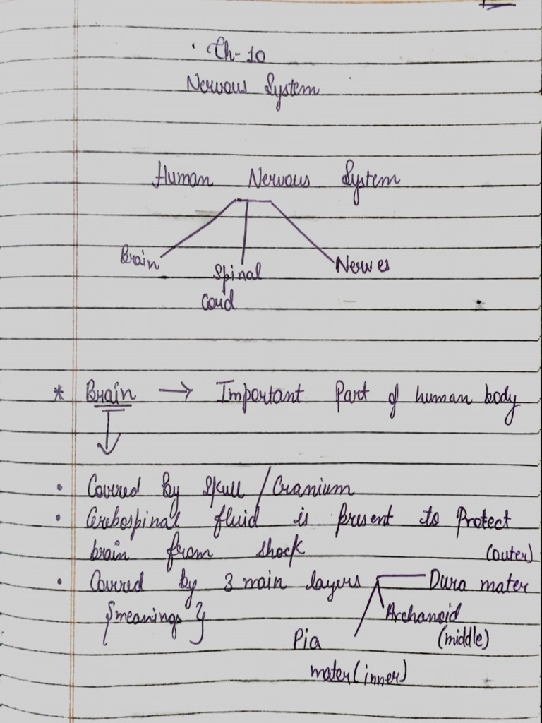 10th Biology Ch-10 | PDF