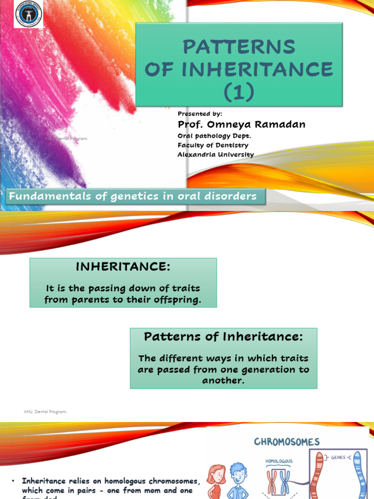 Genetics of Inheritance Patterns | PDF | Genotype | Dominance (Genetics)