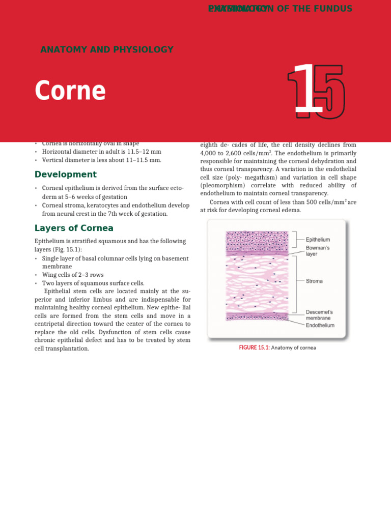 Anatomy and Physiology of the Cornea | PDF | Cornea | Ophthalmology