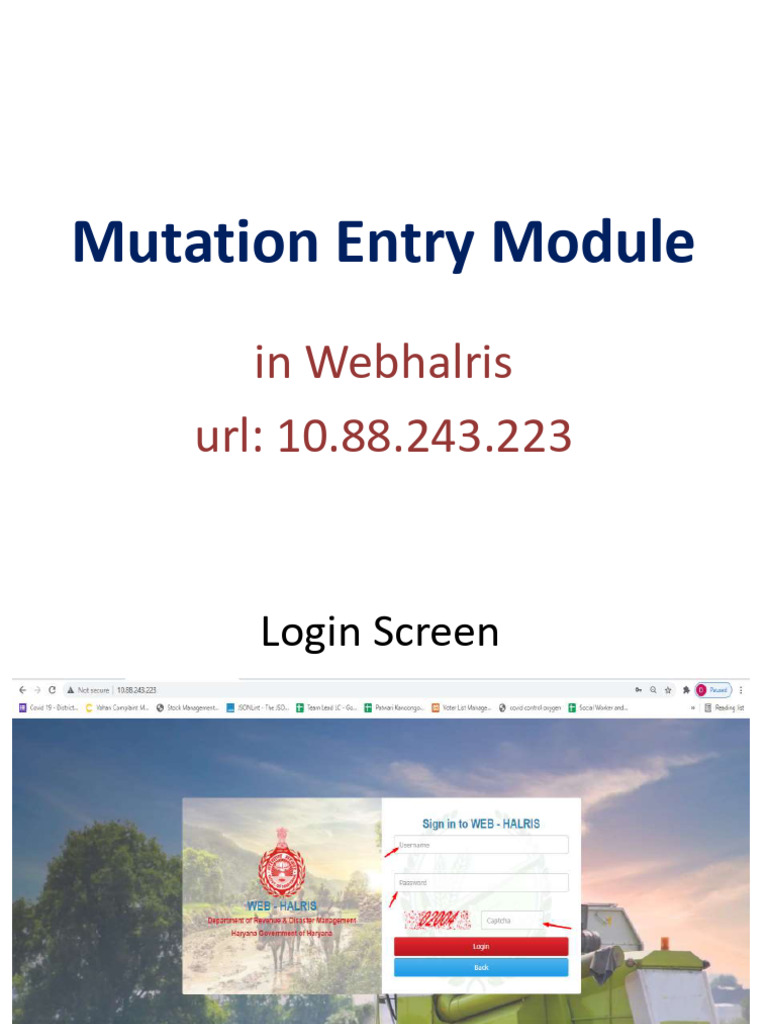 Mutation Entry | PDF